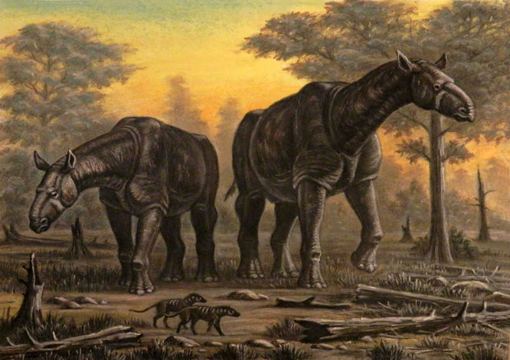 Paraceratherium-Baluchitherium