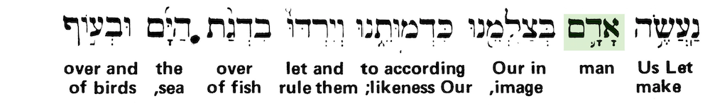 Green's Interlinear Bible - The Word Man from Genesis 1:26 - Short Verse