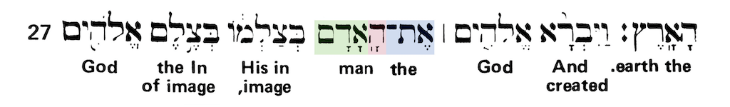 Green's Interlinear Bible - The Word Man from Genesis 1:27 - Short Verse